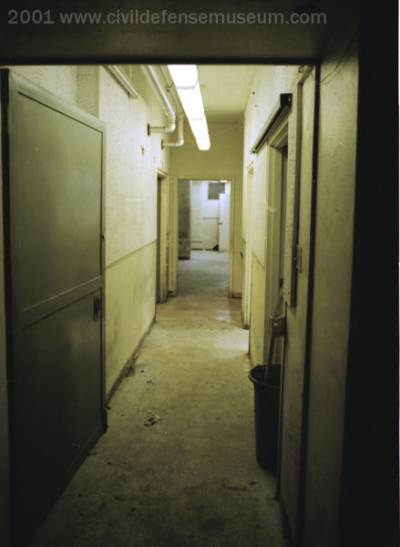 Looking Into Hallway From Rear Entry